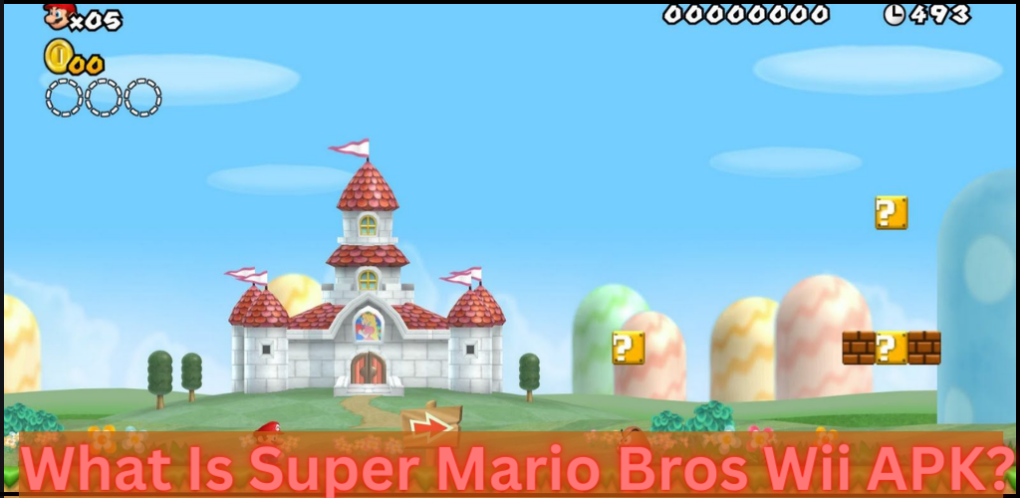 _What Is Super Mario Bros Wii APK