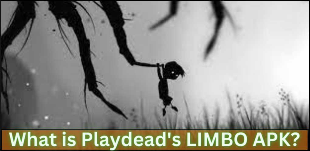 _What is Playdead's LIMBO APK