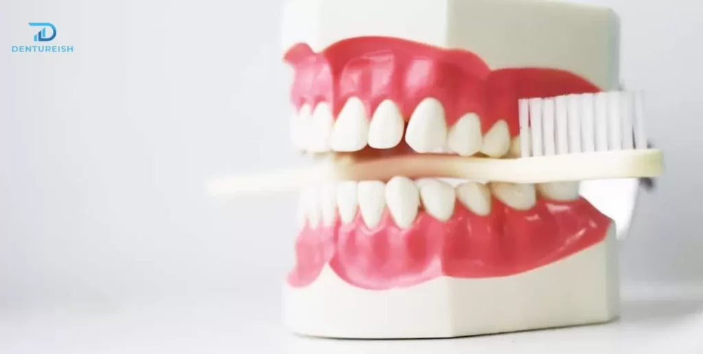 Denture Procedure and Cost Breakdown